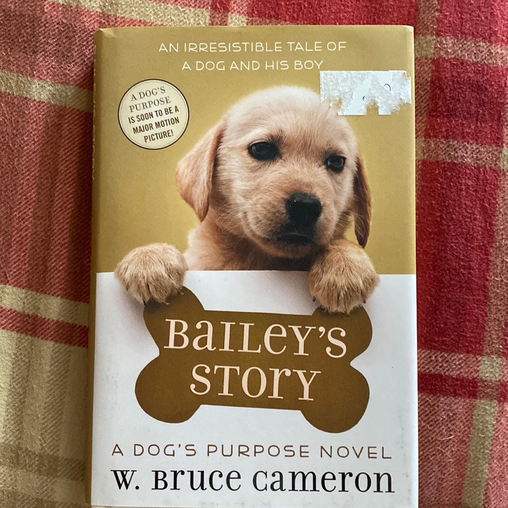 Bailey’s Story